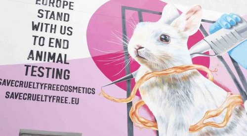 Cosmetics brands campaign against ECHA to maintain EU's ban on animal testing
