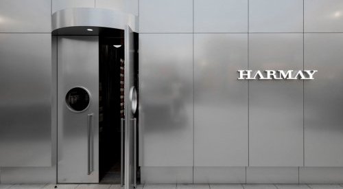 Harmay, the Chinese company that appeals to investors and beauty enthusiasts