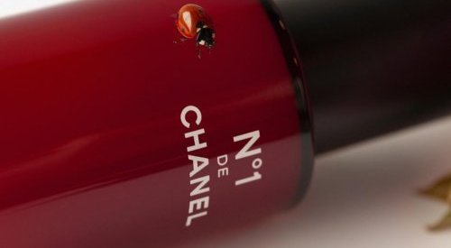 Chanel launches N°1, a new beauty range that embraces naturality and sustainability